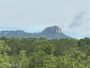 Property Photo:  000 Caudle Road  NC 27043 