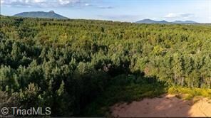 Property Photo: 000 Caudle Road NC 27043