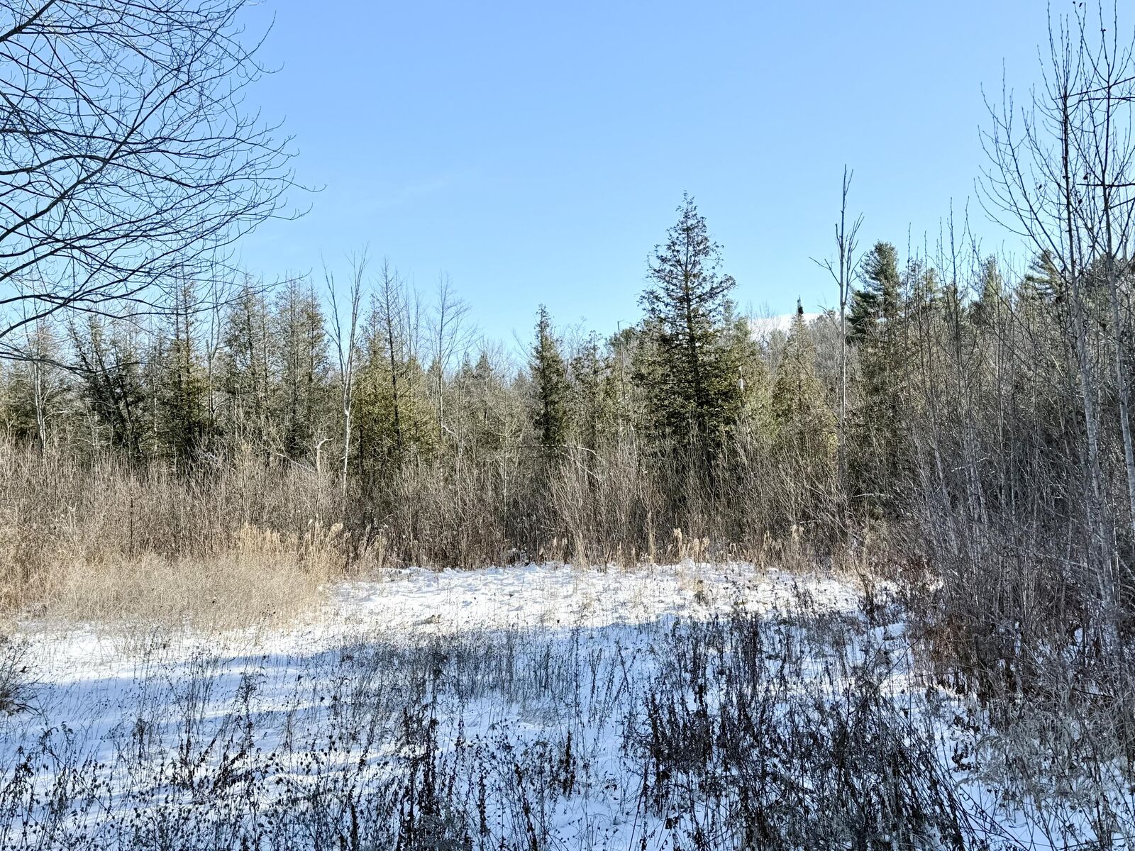 Property Photo:  0 Hank Wilson Road  NY 12918 