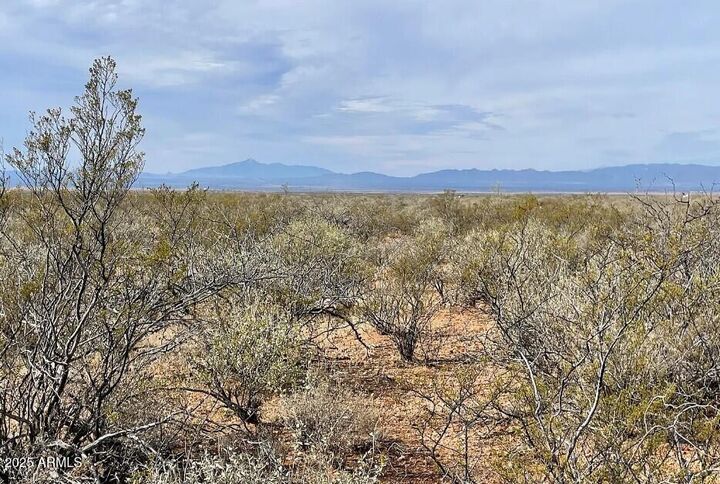 Property Photo: Xxxx E Cll Principal -- 258 AZ 85607