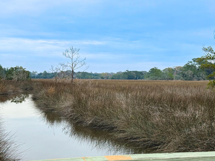 Property Photo:  2110 Marsh Flower Lane  SC 29414 