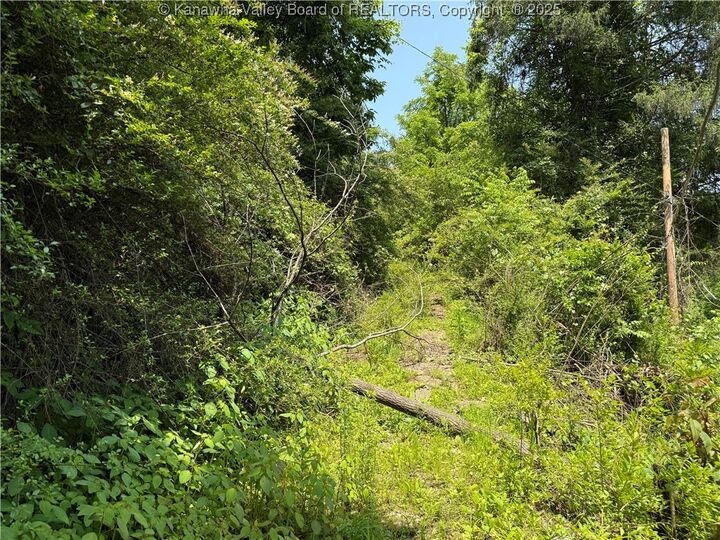 Property Photo: 225 Pine Street WV 25311