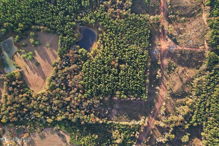 Property Photo: 00 Anse Reed Road MS 39111