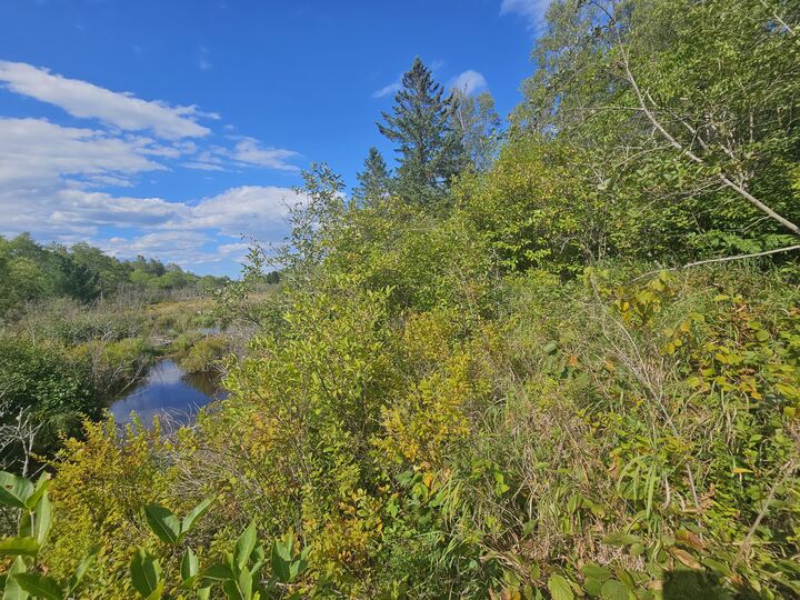 Property Photo:  M2, L4 Off Sacarap Road  ME 04623 