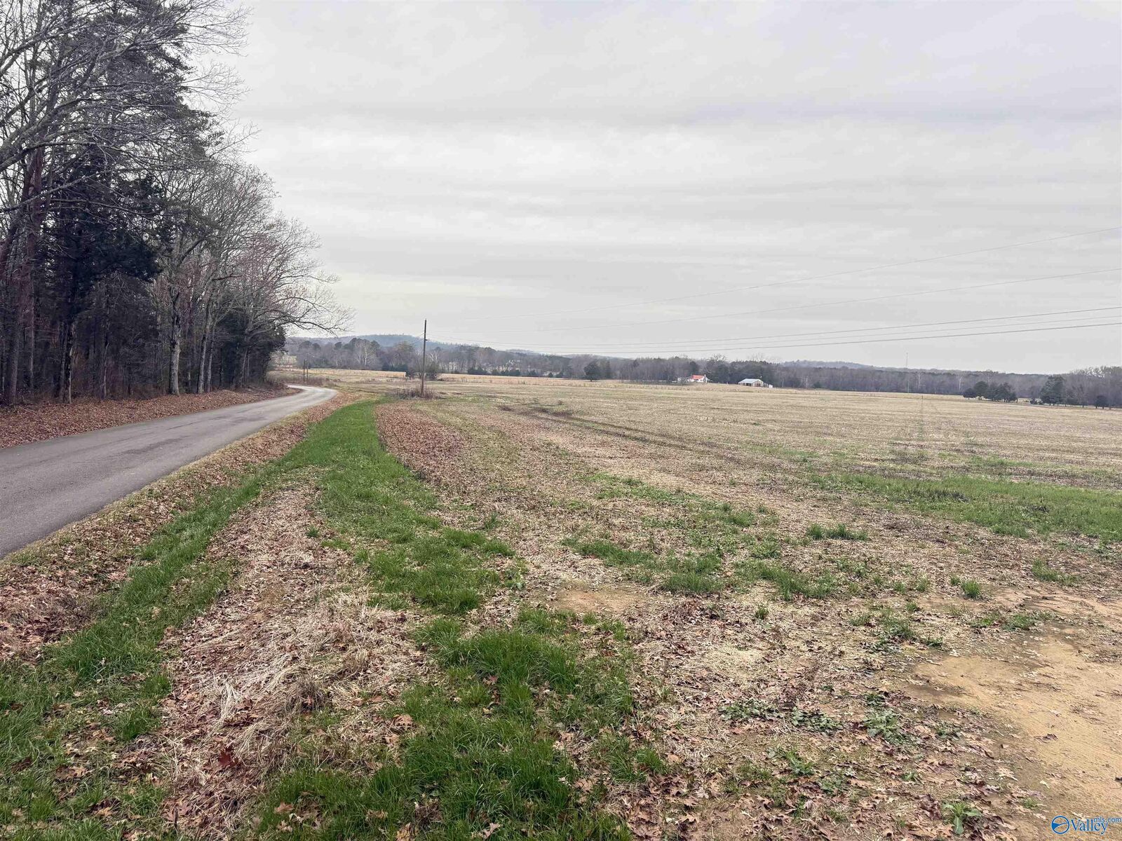 Property Photo: 32 Acres Hogan Road AL 35622