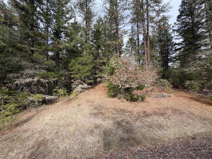 Property Photo: 0 E Evans Creek Road 10149531 OR 97503