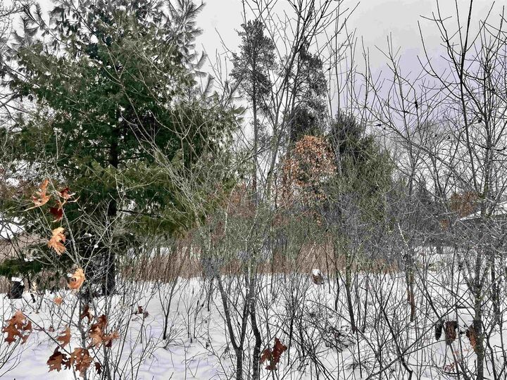Property Photo:  456 Tomahawk Trail  WI 54457 