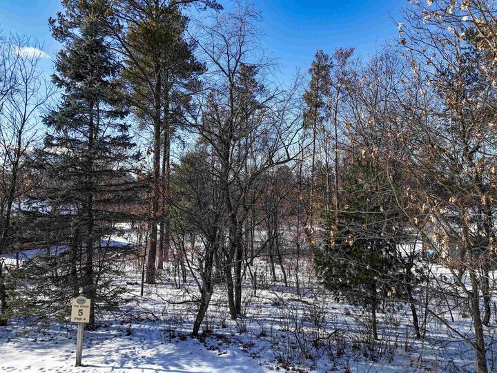 Property Photo:  456 Tomahawk Trail  WI 54457 