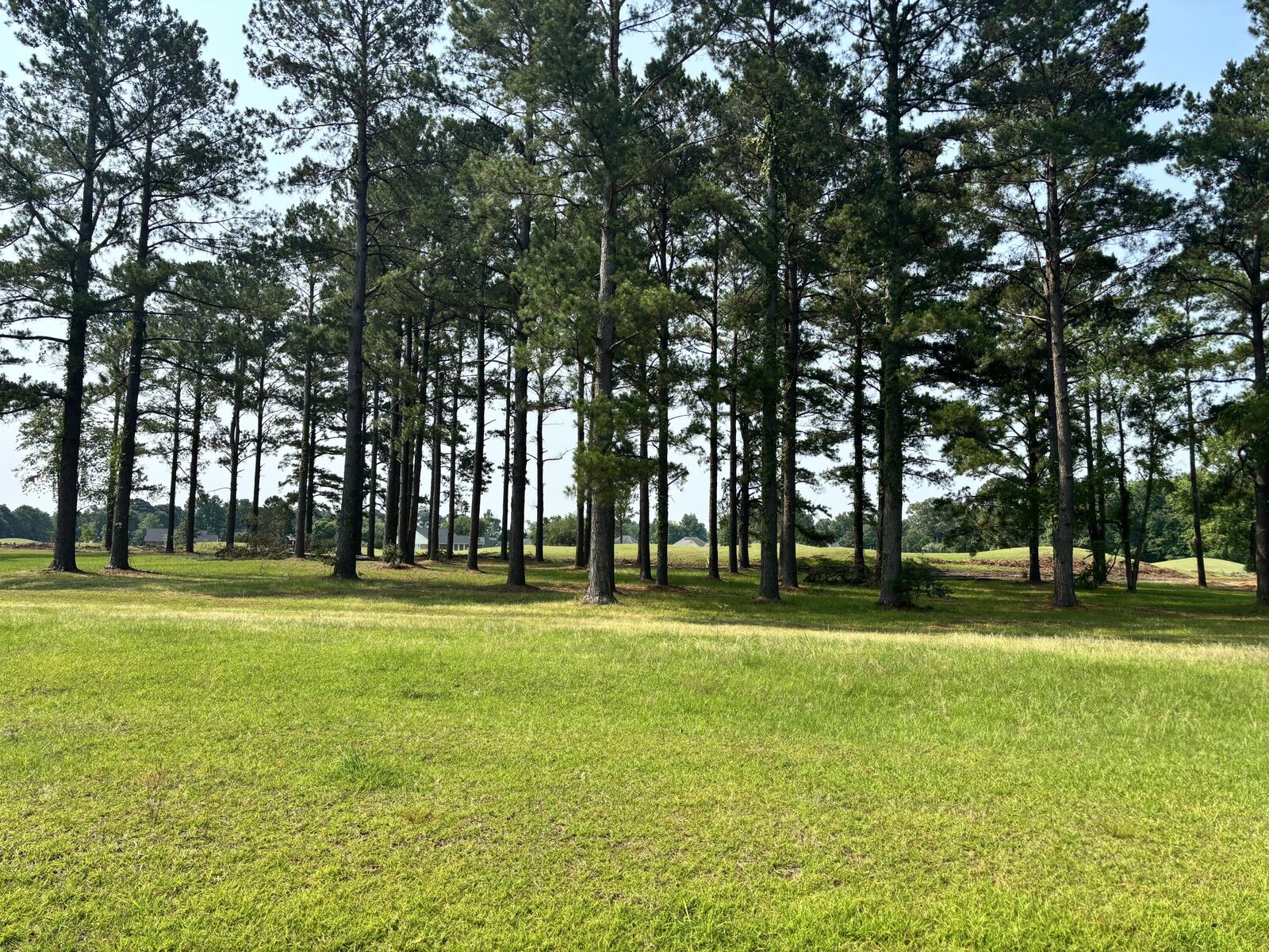 Property Photo: 421 Pinelake Court SC 29102