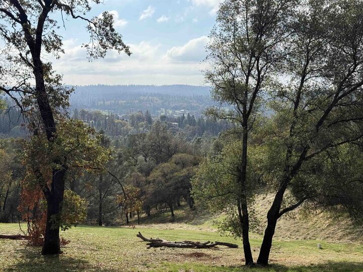 Property Photo:  23021 Darkhorse Drive  CA 95602 