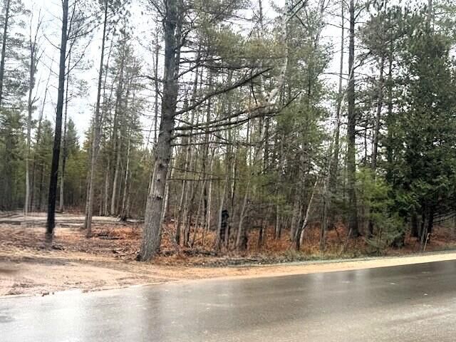 Property Photo: V/L L71-75 Evergreen Drive MI 49738