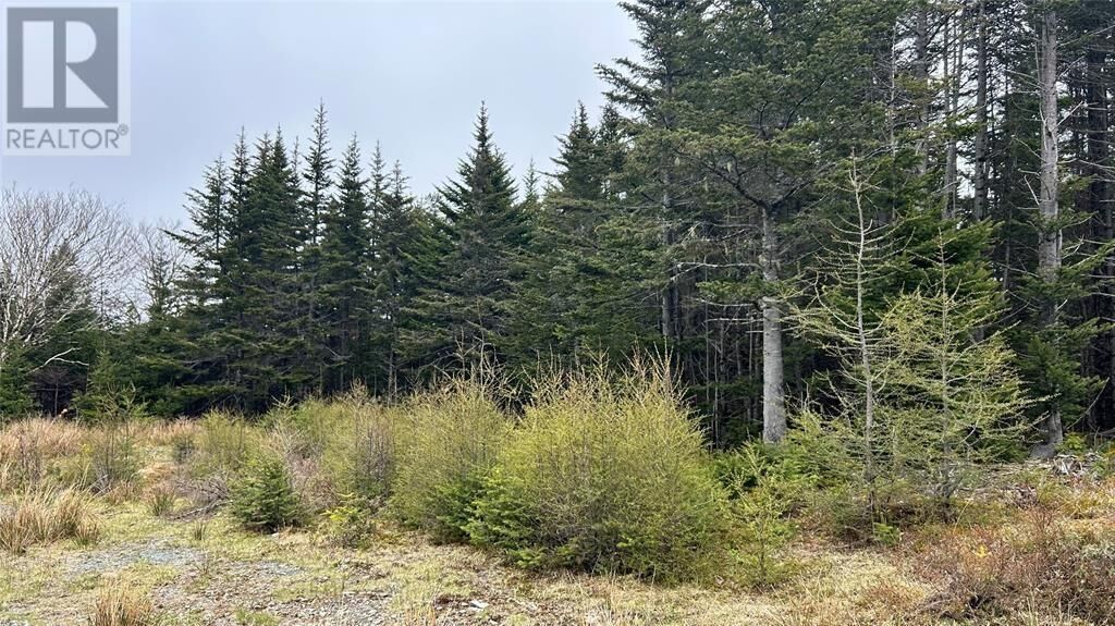 Property Photo:  0 Strayaway Road  NL A0B 1C0 