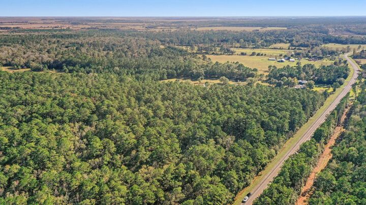 Property Photo:  Tbd 2 Highway 61  TX 77562 