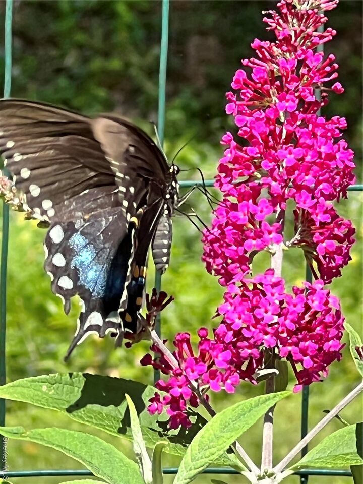 Property Photo:  404 John Joy Road  NY 12498 