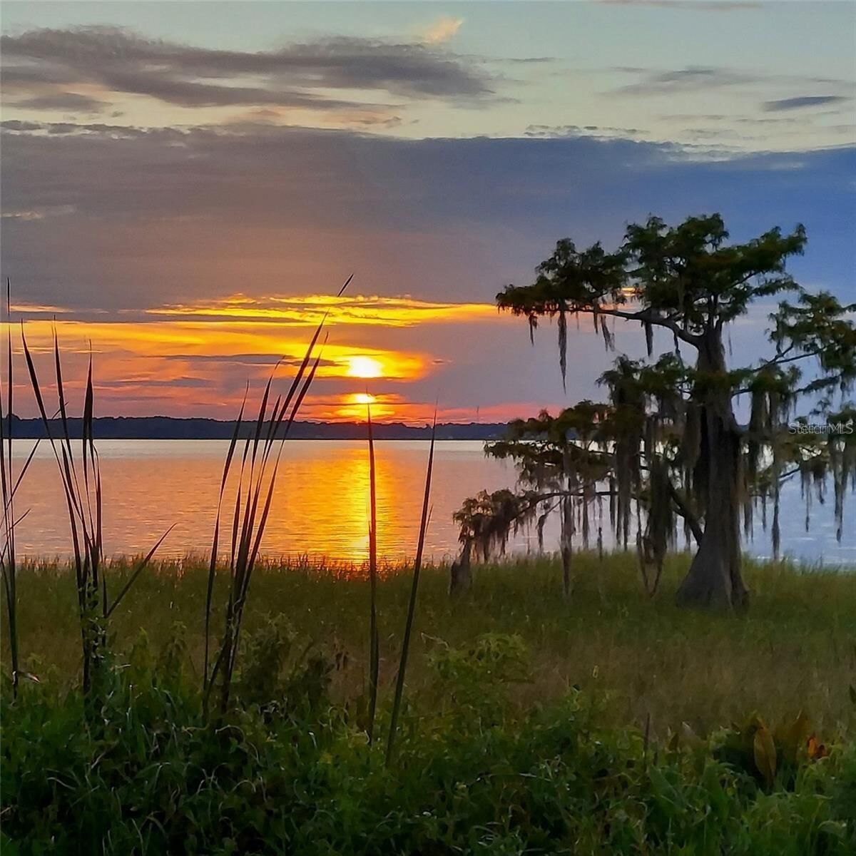 Property Photo: 2225 Cypress Court 2C FL 32778