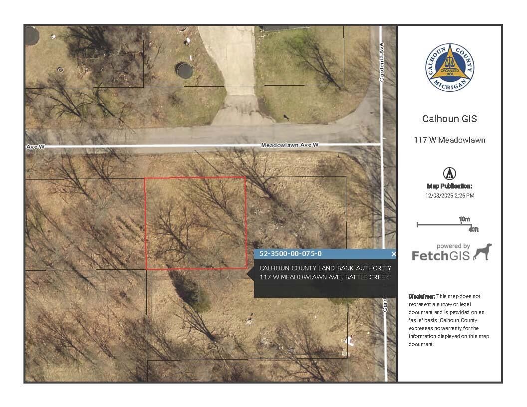 Property Photo:  117 W Meadowlawn Avenue  MI 49037 