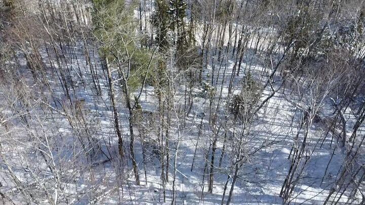 Property Photo: Lot 7 Curtis Farm Road ME 04457