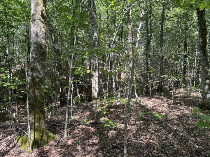 Property Photo: Lot 7 Curtis Farm Road ME 04457