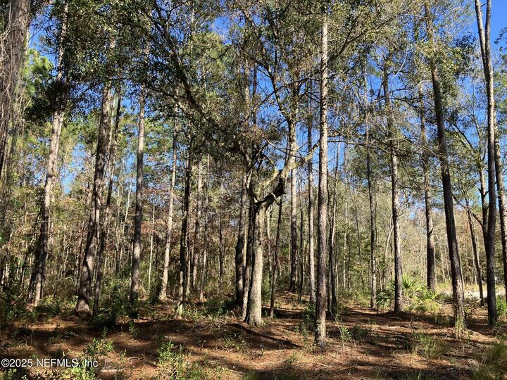 Property Photo: 10050 Ebert Avenue FL 32145