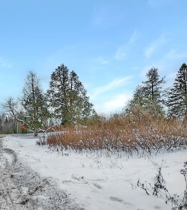 Property Photo:  000 Mountain View Road  NH 03598 