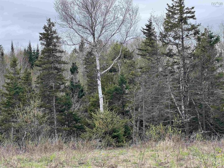 Lot Rjg-1 Long Beach Road — photo 1