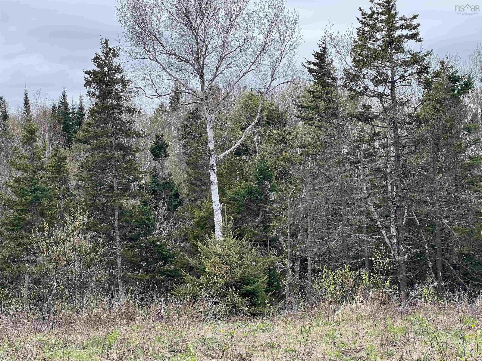 Property Photo:  Lot Rjg-1 Long Beach Road  NS B0P 1H0 
