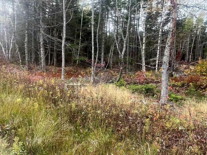 Property Photo:  Lot Gabarus Highway  NS B1L 1G2 