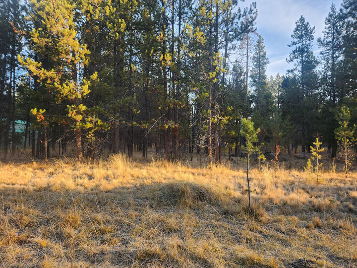 Property Photo: 16824 Brenda Drive OR 97707