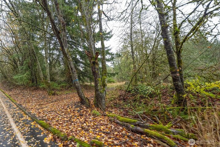 Property Photo:  3  Grimm Road  WA 98626 