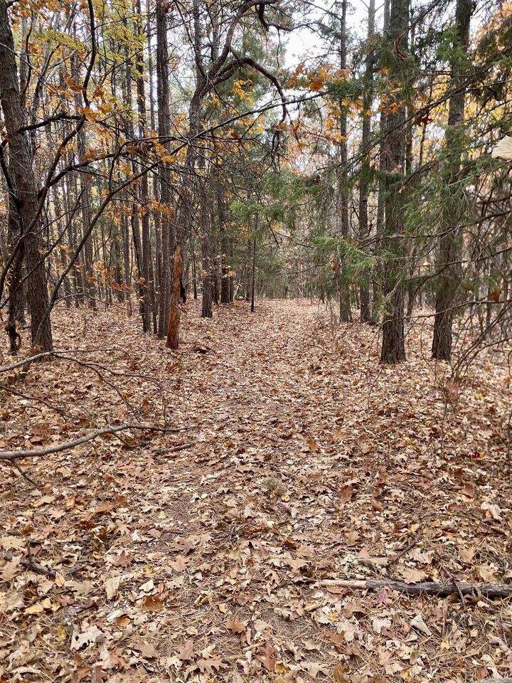 Property Photo: 40 Acres +/- Off Cr 4540 AR 72854