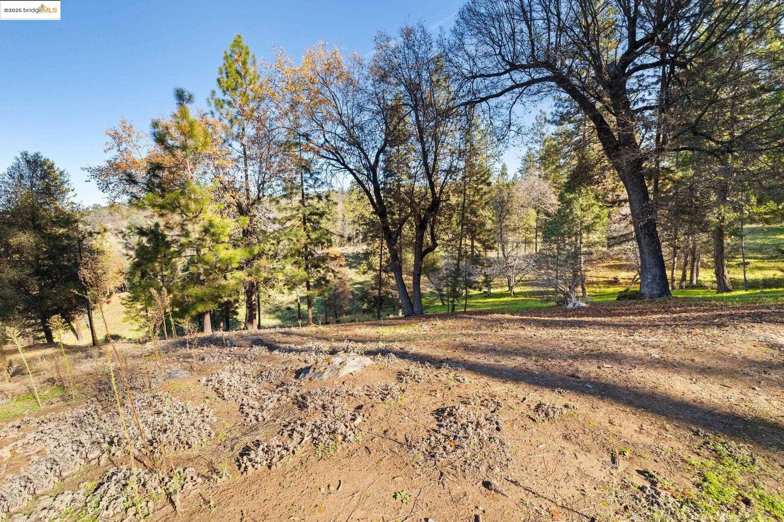 Property Photo:  19364 Ferretti Rd  CA 95321 