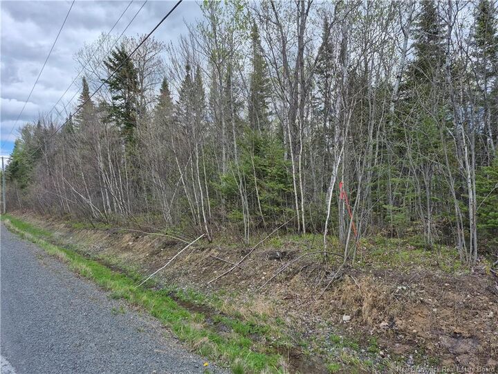 Property Photo: 0 Banks Road NB E6C 1H4