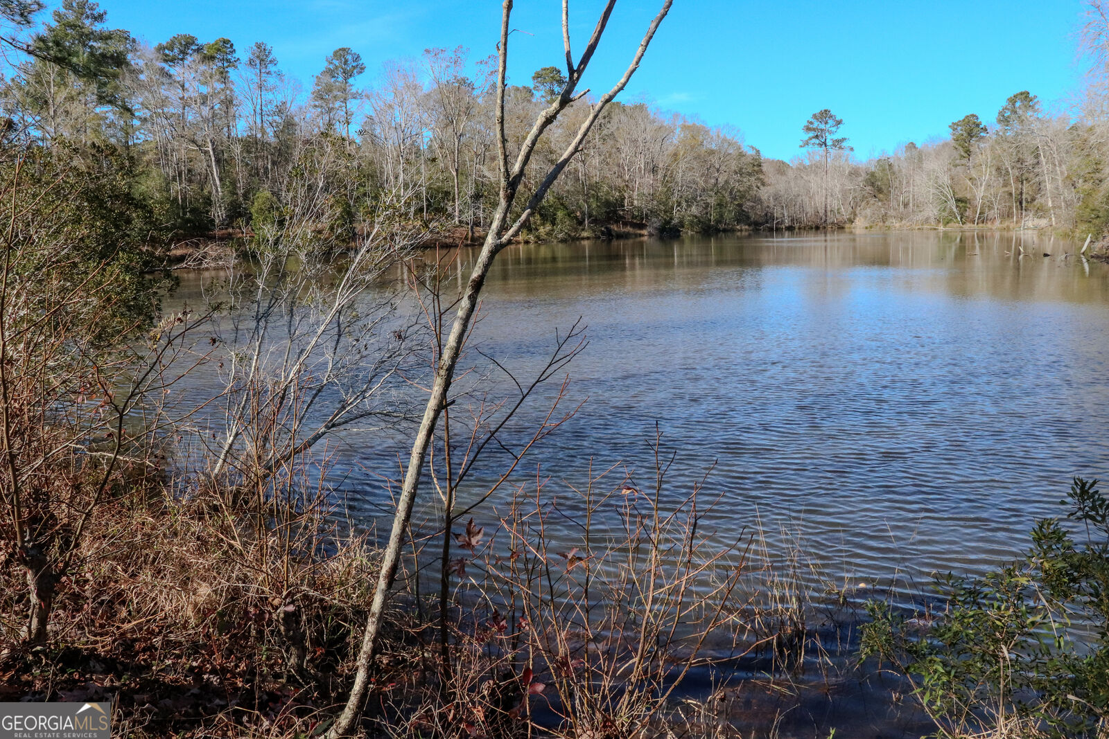 Property Photo: 0 Hamilton Road GA 30813