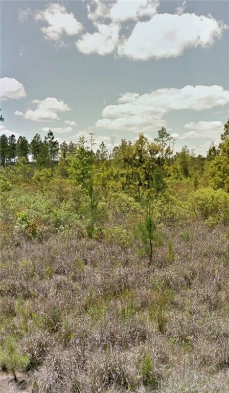 Property Photo:  112 Eagles Crest Drive  GA 31566 