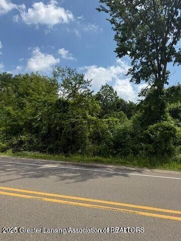 Property Photo:  0 Eager Road  MI 48855 