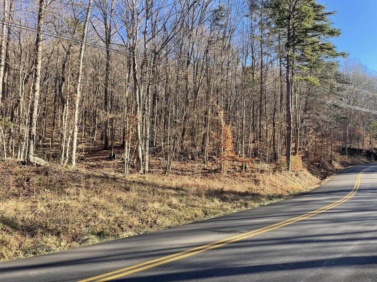 Property Photo:  2002 Dixie Bend Road  KY 42519 