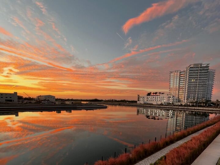 Property Photo:  5351 Bridge Street 62  FL 33611 