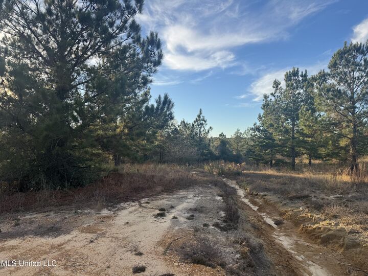 Property Photo:  8 Acres Parker Rd  MS 39561 