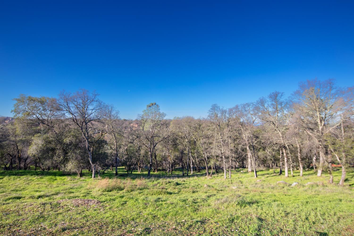 Property Photo: 4095 Raphael Drive CA 95762