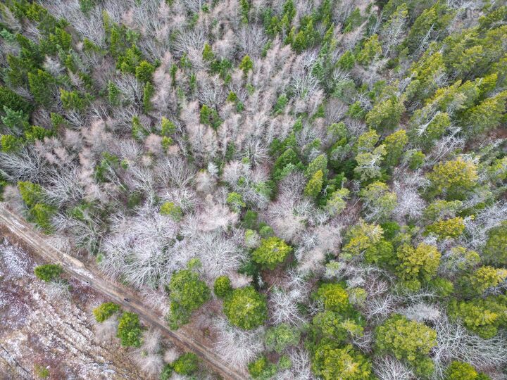 Property Photo:  Lot Highway 101  NS B0W 2J0 