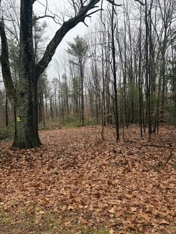 Property Photo:  0 Wendell  Depot Rd  MA 01379 