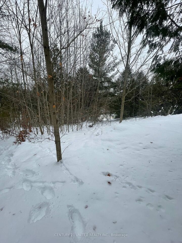 Property Photo:  Ptlt 37 Trent View Drive  ON K0L 1Y0 