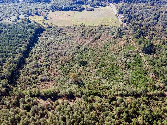 Property Photo:  0 Little River 43  AR 71822 