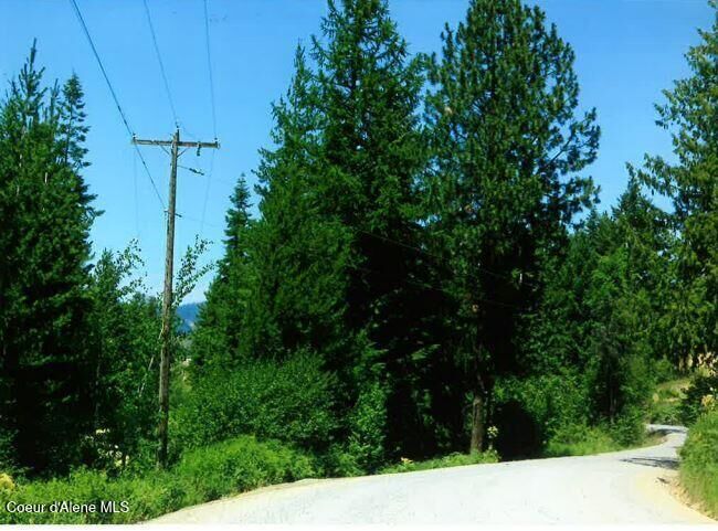 Property Photo:  Nka Tamarack Ridge Rd 1.35 Acres  ID 83810 