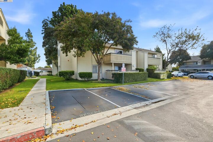 Property Photo:  4064 Abbey Ter 217  CA 94536 