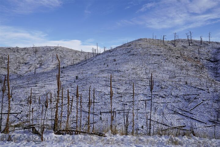 Property Photo: Tbd Lot#222 Coyote Pass MT 59019