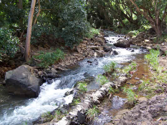Property Photo:  201 Anahola Valley Rd  HI 96703 