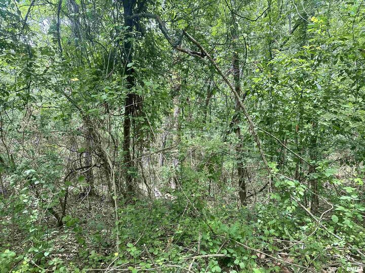 Property Photo:  000 Knob Creek Road  IL 62903 