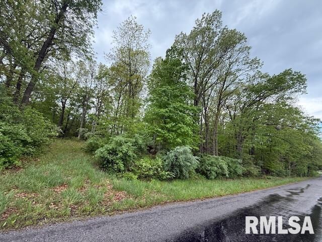 Property Photo:  Tbd Country Club Road  IL 62959 
