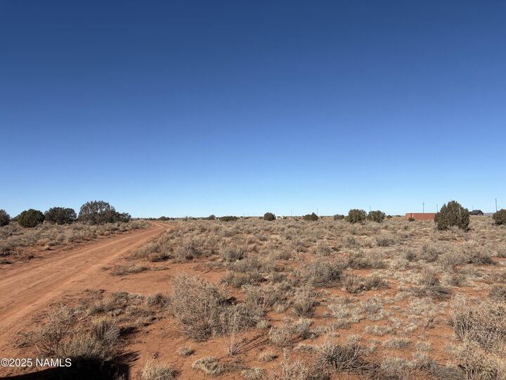 Property Photo:  3195 S Carmen Road  AZ 86046 